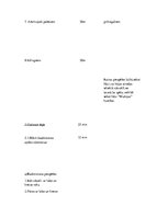 Konspekts 'Sporta stundas konspekts 7.klasei', 4.