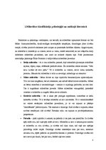 Referāts 'Mīlestība latviešu literatūrā', 4.