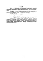 Referāts 'Gongs', 4.