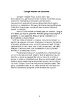 Referāts 'Gongs', 5.