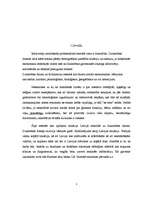 Referāts 'Dzimstības līmenis', 3.