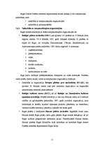 Referāts 'Rīgas Domes Pilsētas attīstības departaments', 11.