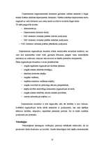 Referāts 'Rīgas Domes Pilsētas attīstības departaments', 19.