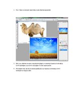 Prezentācija 'Attēlu sapludināšana', 2.