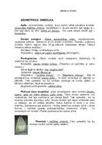 Konspekts 'Viduslaiku simbolika', 1.