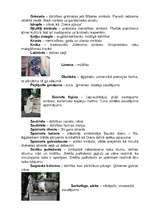 Konspekts 'Viduslaiku simbolika', 4.