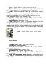 Konspekts 'Viduslaiku simbolika', 5.