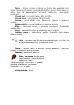 Konspekts 'Viduslaiku simbolika', 7.