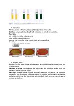 Konspekts 'Bioķīmisko testu tehnika, darbības principi un rezultāti', 2.