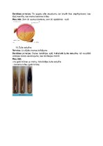 Konspekts 'Bioķīmisko testu tehnika, darbības principi un rezultāti', 7.