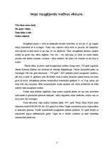 Referāts 'Veļas mazgājamā mašīna', 4.