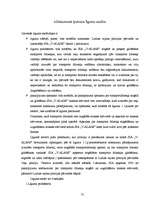 Konspekts 'Policijas struktūra', 10.