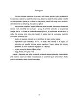 Konspekts 'Policijas struktūra', 12.