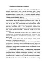 Referāts 'Sociālā darbinieka profesijas prestižs Rīgā', 15.