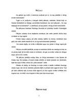 Referāts 'Vai suns ir līdzīgs savam saimniekam?', 3.