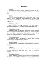 Konspekts 'Speciālie iesildīšanās vingrinājumi basketbolā un volejbolā', 4.