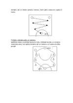 Konspekts 'Speciālie iesildīšanās vingrinājumi basketbolā un volejbolā', 5.