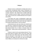 Referāts 'Latvijas sociāldemokrātisko partiju nepopularitātes cēloņi', 26.