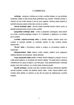 Referāts 'Citas personas uztvere, atribūcija un sociālie spriedumi', 5.