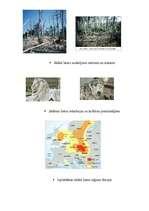 Konspekts 'Skābais lietus un tā ietekme', 2.