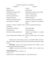 Konspekts 'Organizācijas un menedžmenta jēdziens. Menedžeris un menedžeru līmeņi', 4.