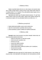 Referāts 'Reklāma', 5.