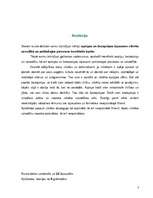 Referāts 'Apziņas un bezapziņas izpausme cilvēka uzvedībā un psihiskajos procesos', 3.