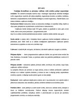 Referāts 'Uzņēmuma "Adobe" konkurētspējas paaugstināšanas stratēģija', 3.