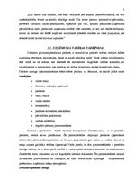 Referāts 'Uzņēmuma "Adobe" konkurētspējas paaugstināšanas stratēģija', 7.