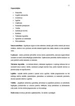 Referāts 'Uzņēmuma "Adobe" konkurētspējas paaugstināšanas stratēģija', 11.