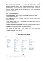 Referāts 'Uzņēmuma "Adobe" konkurētspējas paaugstināšanas stratēģija', 12.