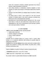 Referāts 'Uzņēmuma "Adobe" konkurētspējas paaugstināšanas stratēģija', 15.