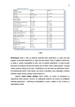 Referāts 'Uzņēmuma "Adobe" konkurētspējas paaugstināšanas stratēģija', 17.