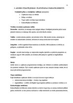 Referāts 'Uzņēmuma "Adobe" konkurētspējas paaugstināšanas stratēģija', 18.