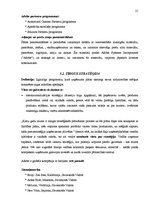 Referāts 'Uzņēmuma "Adobe" konkurētspējas paaugstināšanas stratēģija', 21.