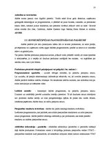 Referāts 'Uzņēmuma "Adobe" konkurētspējas paaugstināšanas stratēģija', 23.