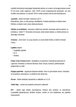 Referāts 'Uzņēmuma "Adobe" konkurētspējas paaugstināšanas stratēģija', 24.