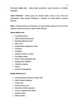 Referāts 'Uzņēmuma "Adobe" konkurētspējas paaugstināšanas stratēģija', 25.