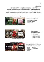 Referāts 'Uzņēmuma "Adobe" konkurētspējas paaugstināšanas stratēģija', 31.