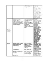 Prakses atskaite 'Prakses atskaite pirmsskolā', 8.