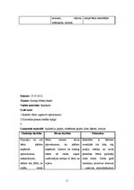 Prakses atskaite 'Prakses atskaite pirmsskolā', 11.