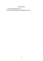 Prakses atskaite 'Prakses atskaite pirmsskolā', 24.