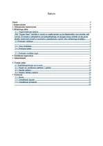 Biznesa plāns 'Arhitektūras firma "Saules nami"', 2.