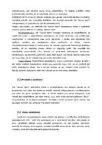 Biznesa plāns 'Arhitektūras firma "Saules nami"', 6.