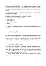 Biznesa plāns 'Arhitektūras firma "Saules nami"', 7.