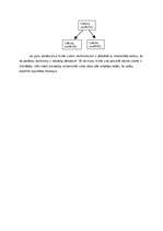 Biznesa plāns 'Arhitektūras firma "Saules nami"', 10.