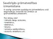 Prezentācija 'Saudzīga grāmatvedība', 12.