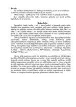 Referāts 'Basketbola dribla un piespēļu apmācība un pilnveidošana', 2.