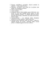 Referāts 'Basketbola dribla un piespēļu apmācība un pilnveidošana', 12.