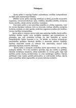 Referāts 'Basketbola dribla un piespēļu apmācība un pilnveidošana', 15.